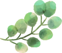 p-homeBanner-leaf--left