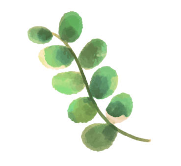 p-homeBanner-leaf--right