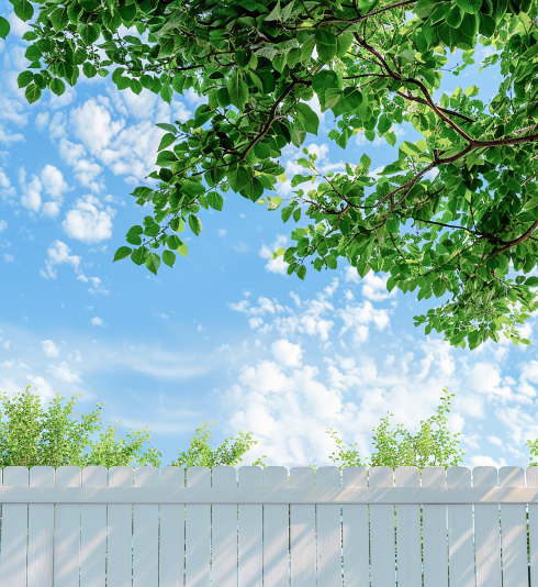 采縈故事-圖片-1