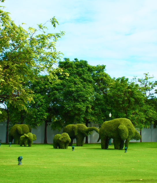 采縈故事-圖片-2